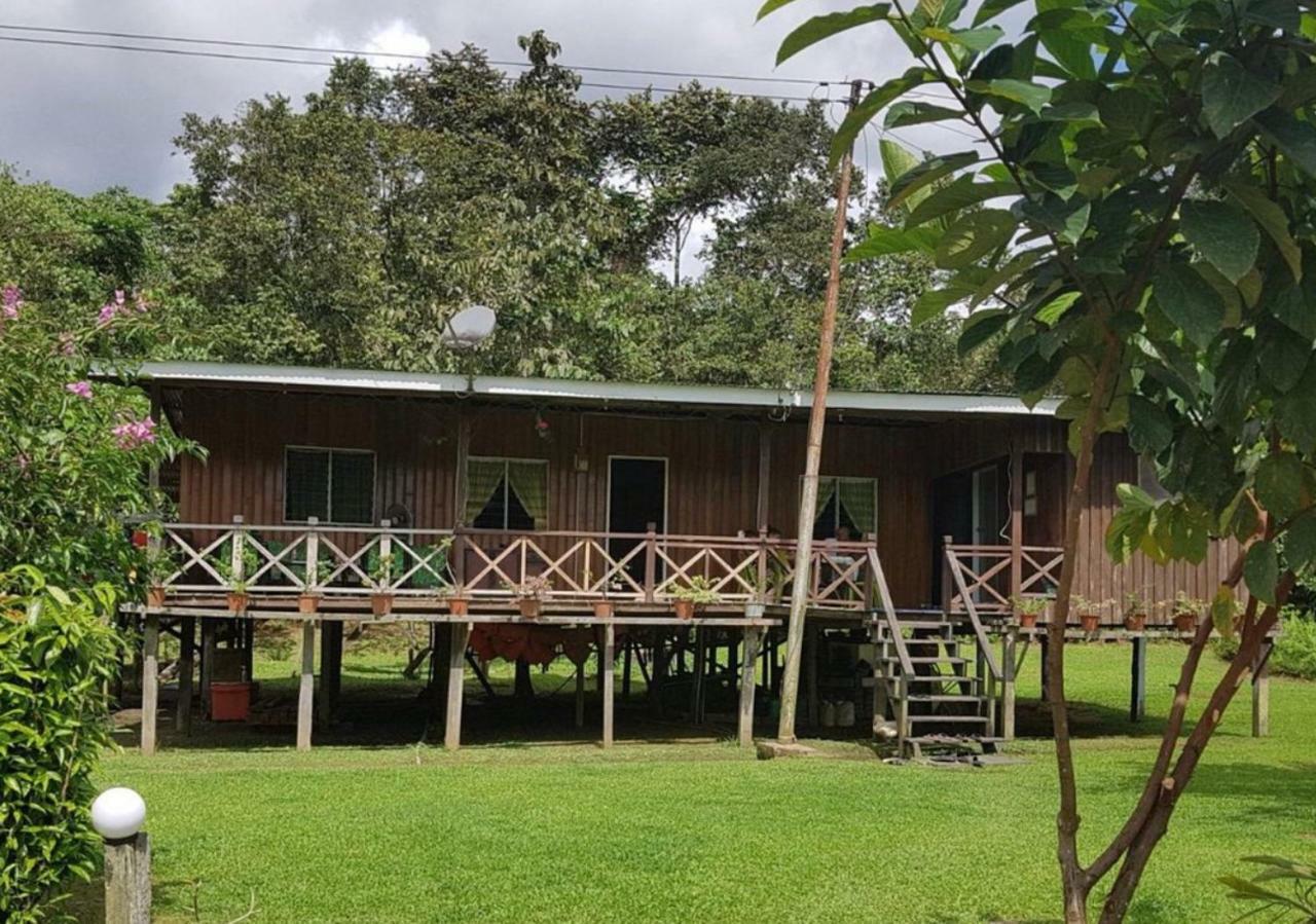 Osman'S Homestay Sukau Exterior photo